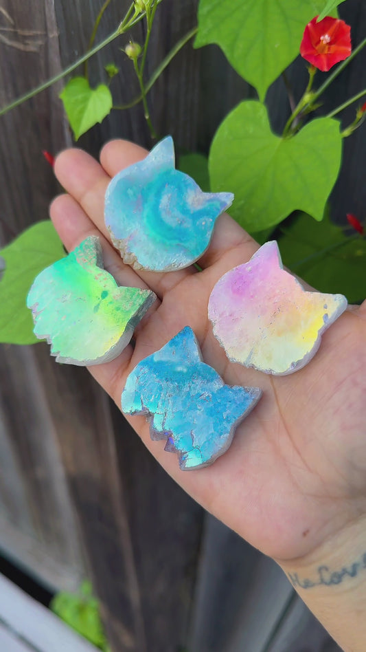 Cat Aura Amethyst Slices | 4 pcs